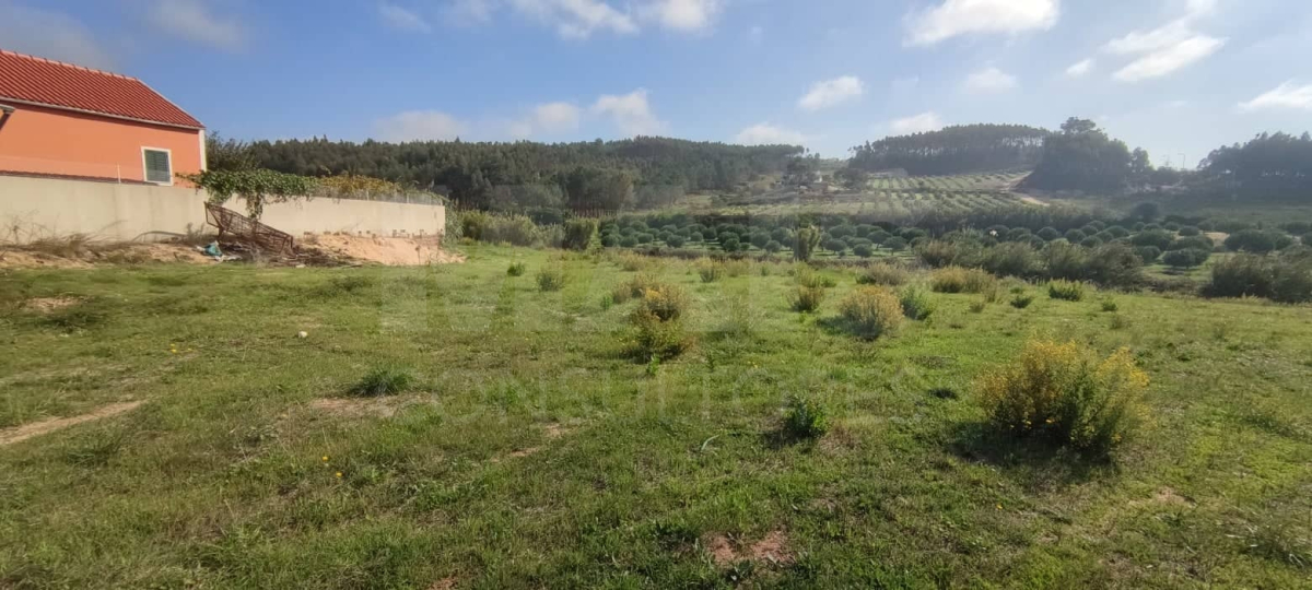 Land with 600 m2 of constructed area